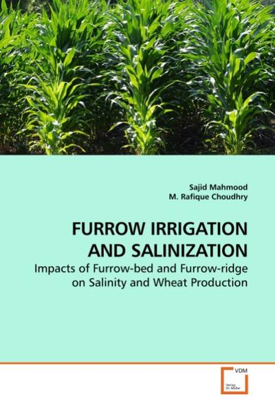 FURROW IRRIGATION AND SALINIZATION