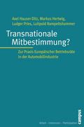 Transnationale Mitbestimmung?
