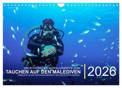Die schönsten Korallenriffe zum Tauchen auf den Malediven (Wandkalender 2026 DIN A4 quer), CALVENDO Monatskalender