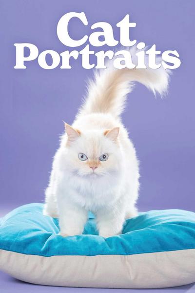 Cat Portraits