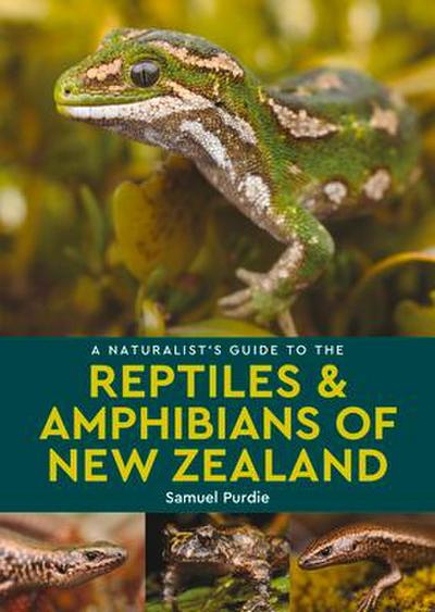 A Naturalist’s Guide to the Reptiles & Amphibians Of New Zealand