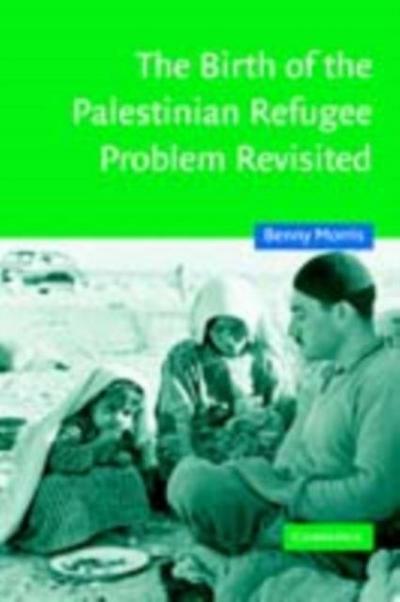 Birth of the Palestinian Refugee Problem Revisited