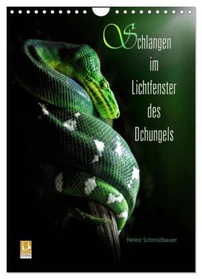 Schlangen im Lichtfenster des Dschungels (Wandkalender 2026 DIN A4 hoch), CALVENDO Monatskalender