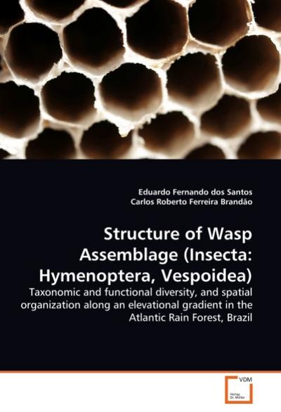 Structure of Wasp Assemblage (Insecta: Hymenoptera, Vespoidea)