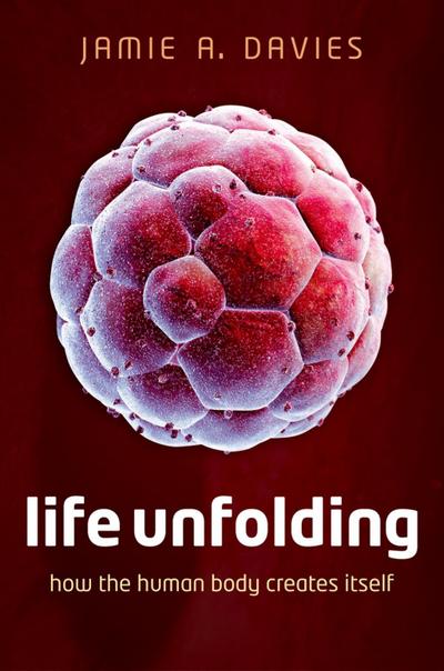 Life Unfolding