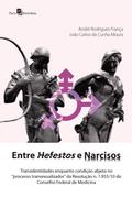 Entre hefestos e narcisos