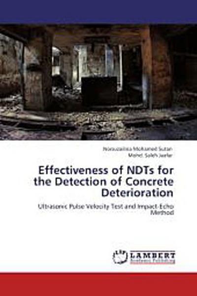Effectiveness of NDTs for the Detection of Concrete Deterioration