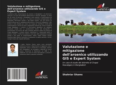 Valutazione e mitigazione dell’arsenico utilizzando GIS e Expert System