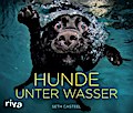 Casteel, S: Hunde unter Wasser