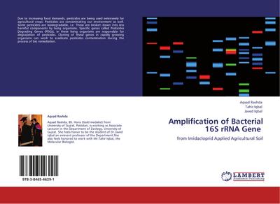 Amplification of Bacterial 16S rRNA Gene