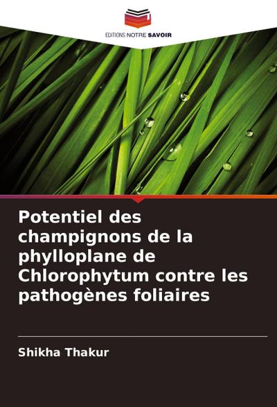 Potentiel des champignons de la phylloplane de Chlorophytum contre les pathogènes foliaires