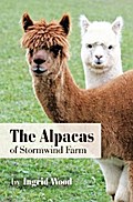 The Alpacas of Stormwind Farm