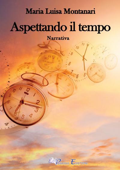 Montanari, M: Aspettando il tempo