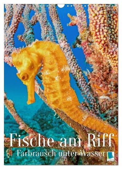 Farbrausch unter Wasser: Fische am Riff (Wandkalender 2027 DIN A3 hoch), CALVENDO Monatskalender