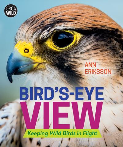 Bird’s-Eye View
