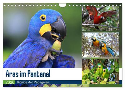 Aras im Pantanal (Wandkalender 2026 DIN A4 quer), CALVENDO Monatskalender
