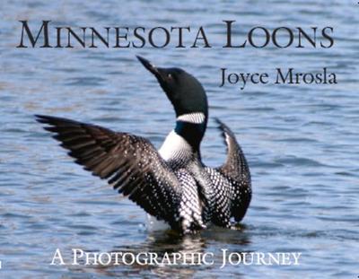 Minnesota Loons: A Photographic Journey