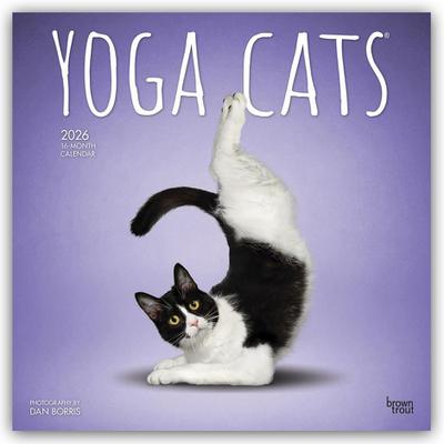 Yoga Cats - Katzen Yoga 2026 - 16-Monatskalender