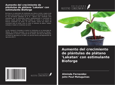 Aumento del crecimiento de plántulas de plátano ’Lakatan’ con estimulante Bioforge
