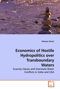 Economics of Hostile Hydropolitics over Transboundary Waters