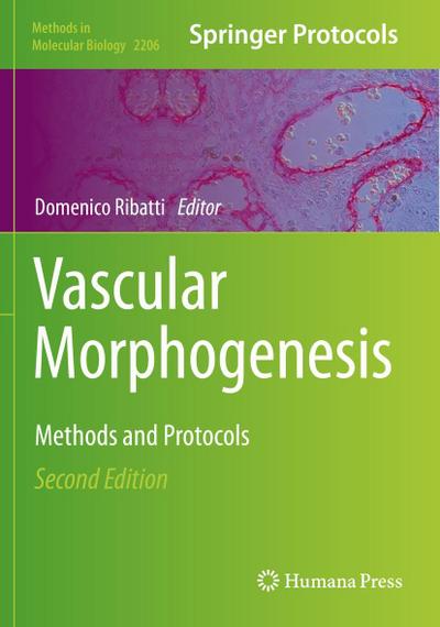 Vascular Morphogenesis