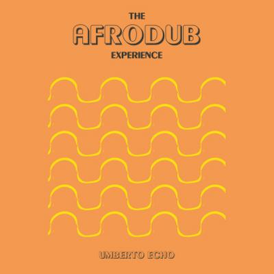 The Afrodub Experience