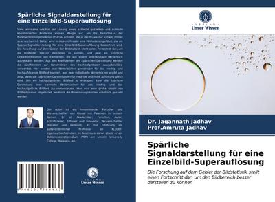 Spärliche Signaldarstellung für eine Einzelbild-Superauflösung