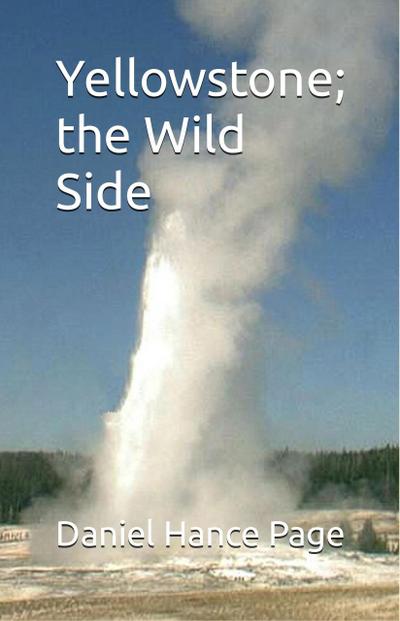 Yellowstone; the Wild Side