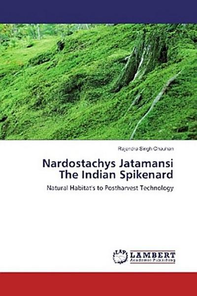 Nardostachys Jatamansi The Indian Spikenard