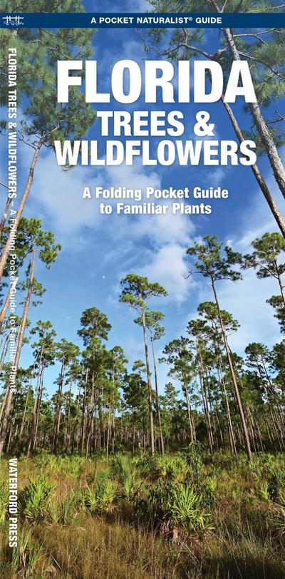 Florida Trees & Wildflowers