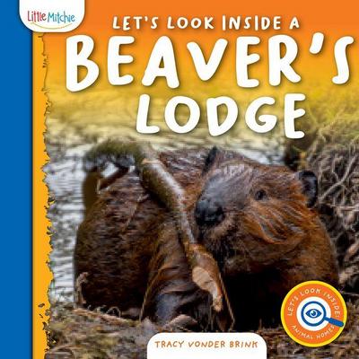 Let’s Look Inside a Beaver’s Lodge