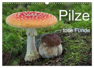 Pilze - tolle Funde (Wandkalender 2026 DIN A3 quer), CALVENDO Monatskalender