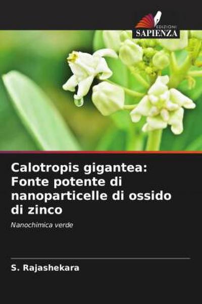 Calotropis gigantea: Fonte potente di nanoparticelle di ossido di zinco