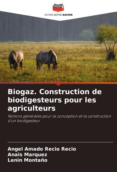 Biogaz. Construction de biodigesteurs pour les agriculteurs