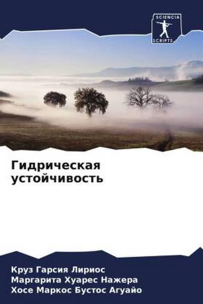 Gidricheskaq ustojchiwost’