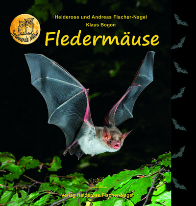 Fledermäuse