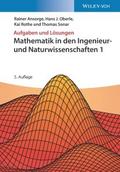 Mathematik in den Ingenieur- und Naturwissenschaft