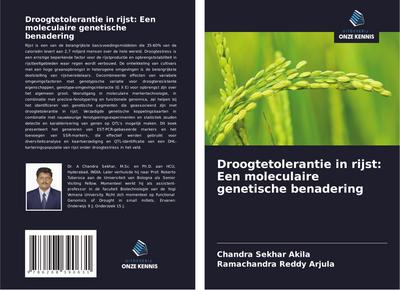 Droogtetolerantie in rijst: Een moleculaire genetische benadering