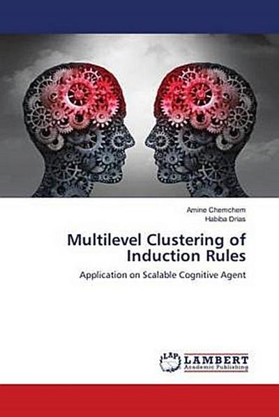 Multilevel Clustering of Induction Rules