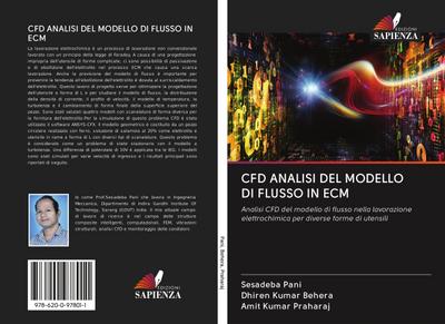 CFD ANALISI DEL MODELLO DI FLUSSO IN ECM