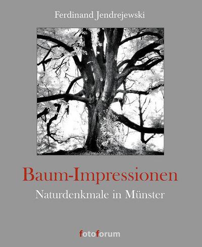 Baum-Impressionen