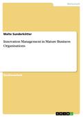 Innovation Management in Mature Business Organisations - Malte Sunderkötter