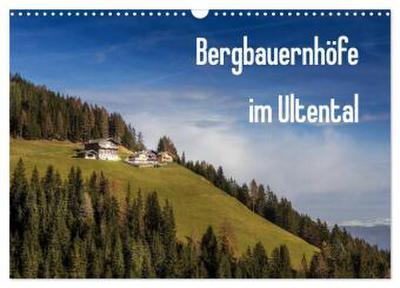 Bergbauernhöfe im Ultental (Wandkalender 2026 DIN A3 quer), CALVENDO Monatskalender