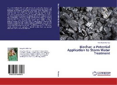 Biochar: a Potential Application to Storm Water Treatment