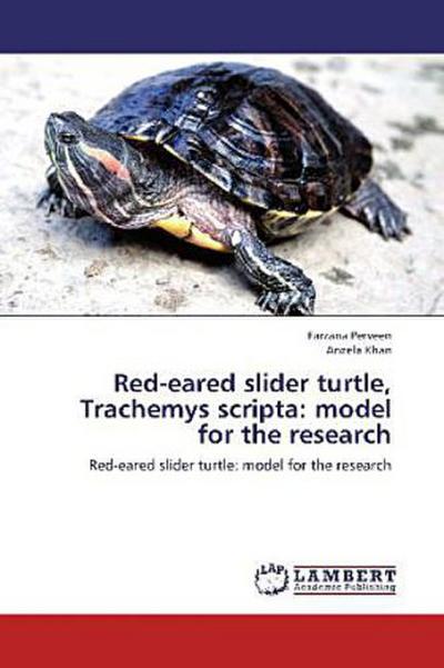 Red-eared slider turtle, Trachemys scripta: model for the research