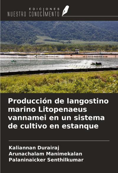 Producción de langostino marino Litopenaeus vannamei en un sistema de cultivo en estanque