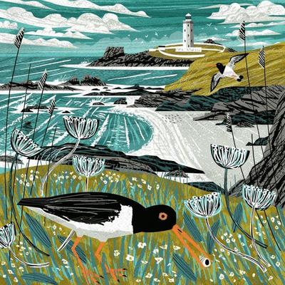 Sunny Spells and Scattered Showers