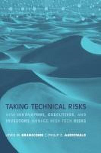 Taking Technical Risks