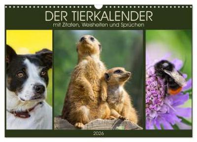 Der Tierkalender mit Zitaten, Weisheiten und Sprüchen (Wandkalender 2026 DIN A3 quer), CALVENDO Monatskalender