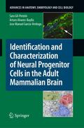 Identification and Characterization of Neural Prog